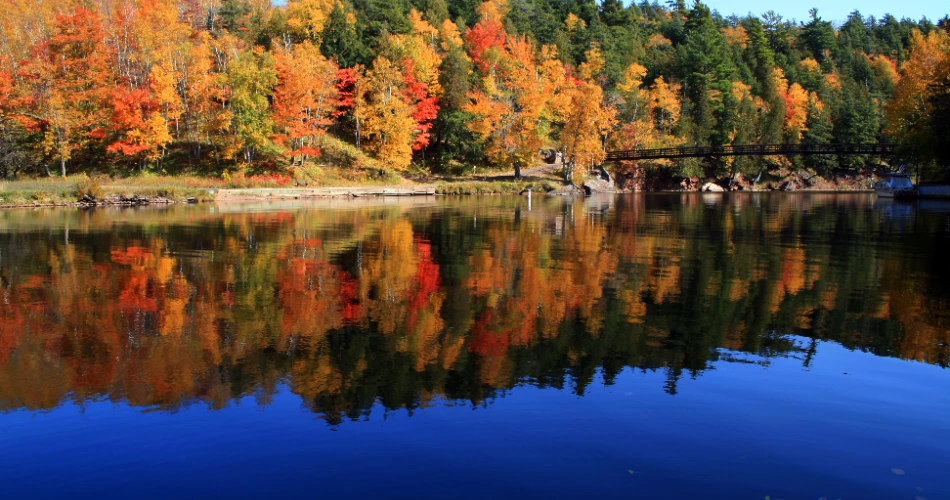 10 Best Things to Do in Ironwood, MI